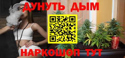 сатива Бузулук