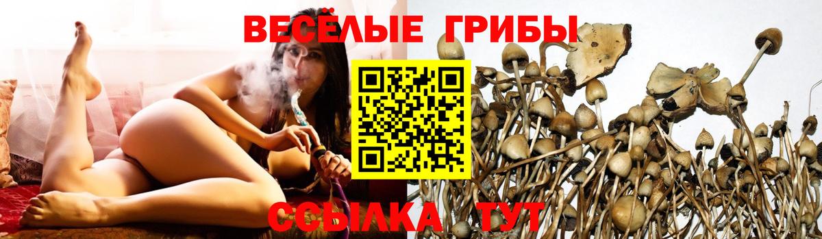 Галлюциногенные грибы прущие грибы Родники